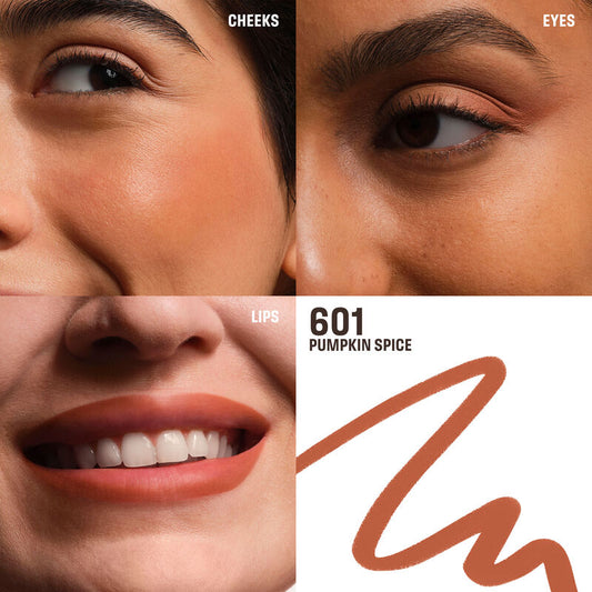 Lápiz delineador Artist Color Pencil 601 Pumpkin Spice