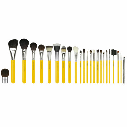 Set de Brochas Studio Series Luxury de 24 pcz