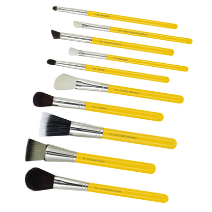 Set de Brochas Studio Series Mineral de 10 pcz