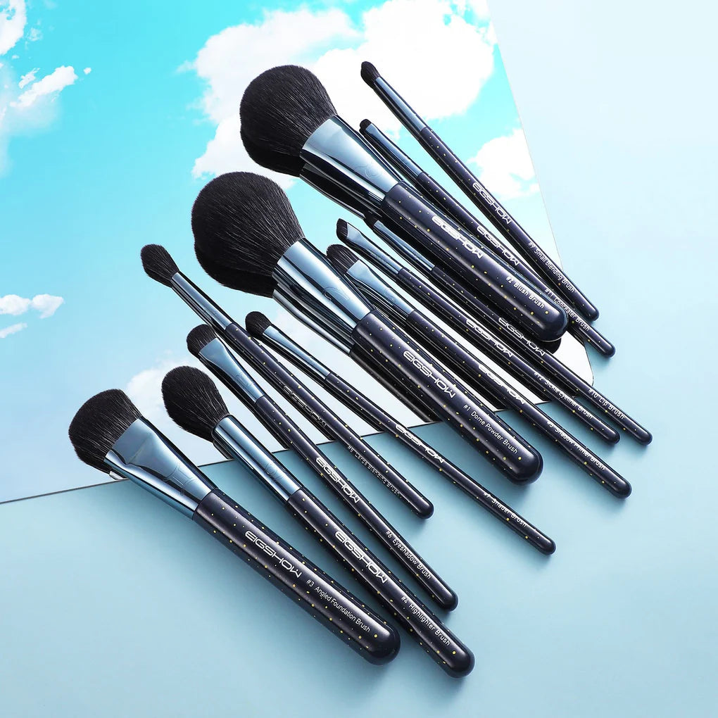 Set de brochas Zodiac de 12 piezas
